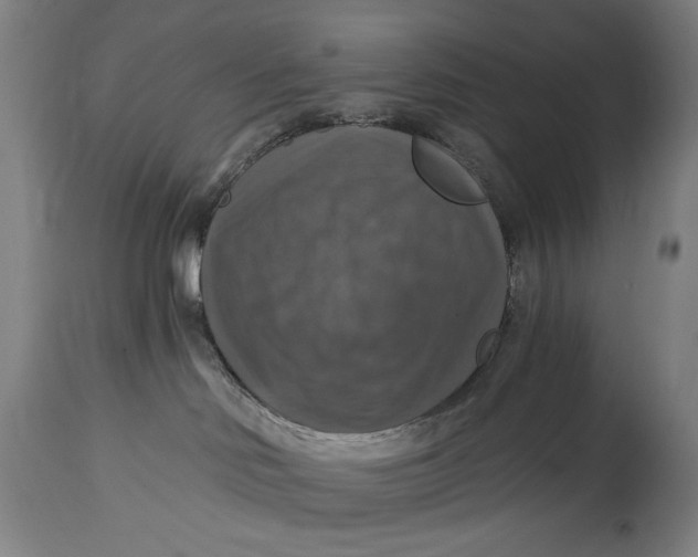 X0000114610046200911101202