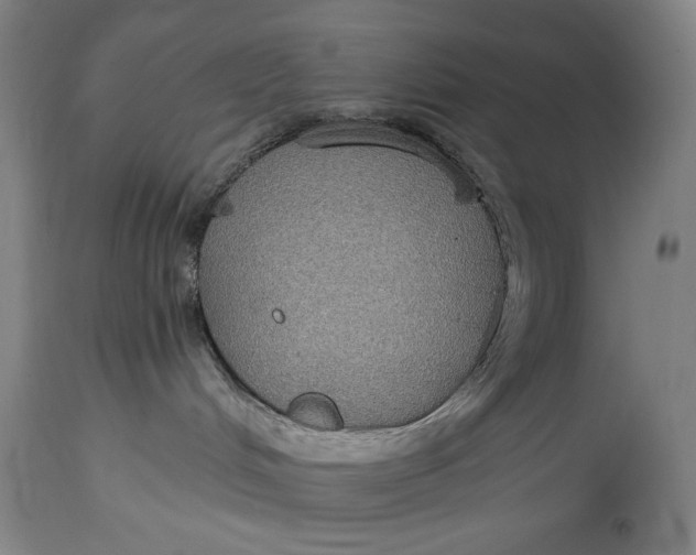 X0000114610048200911101202