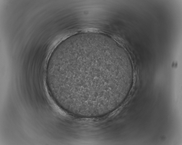 X0000114610049200911101201