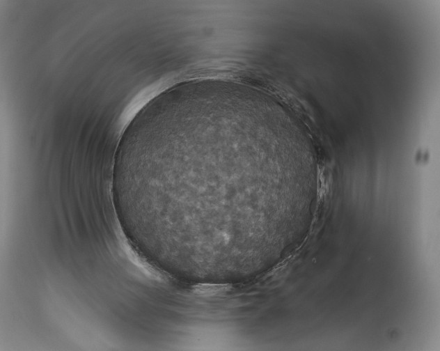 X0000114610051200911101201