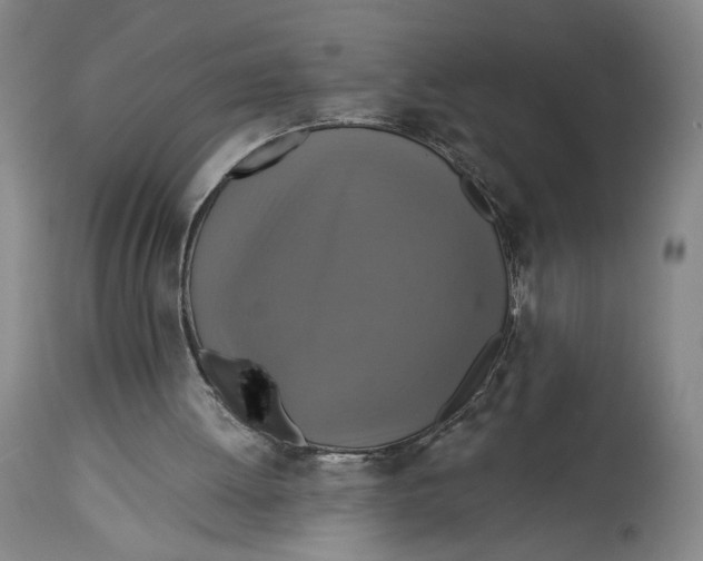 X0000114610052200911101201