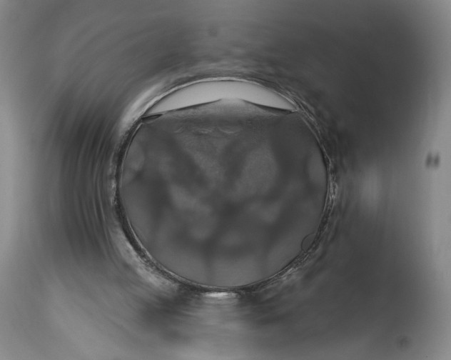 X0000114610053200911101201