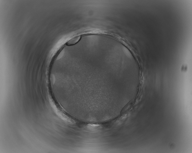 X0000114610055200911101201