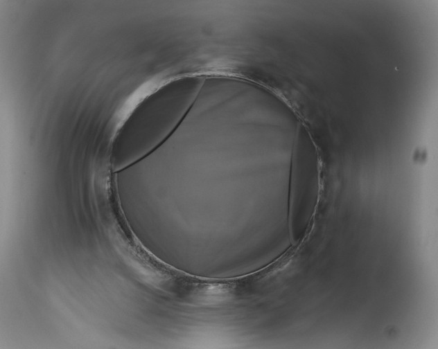 X0000114610056200911101201