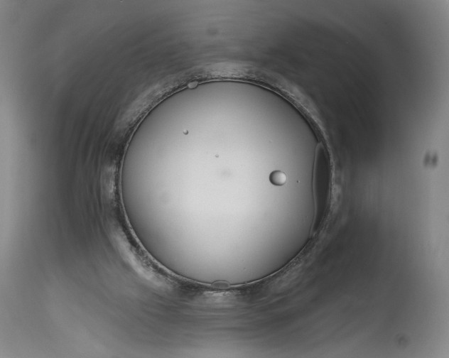 X0000114610057200911101201