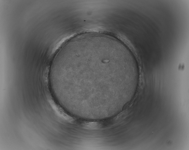 X0000114610058200911101201