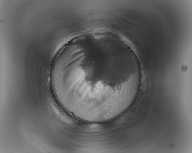 X0000114610059200911101201