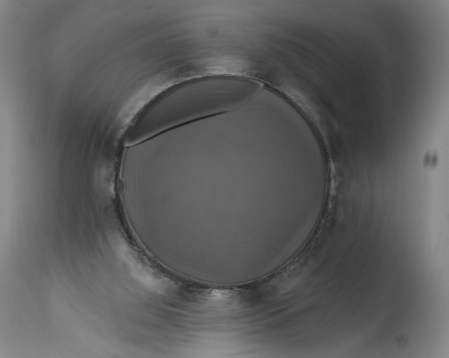 X0000114610060200911101201