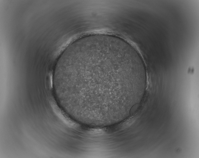 X0000114610061200911101201