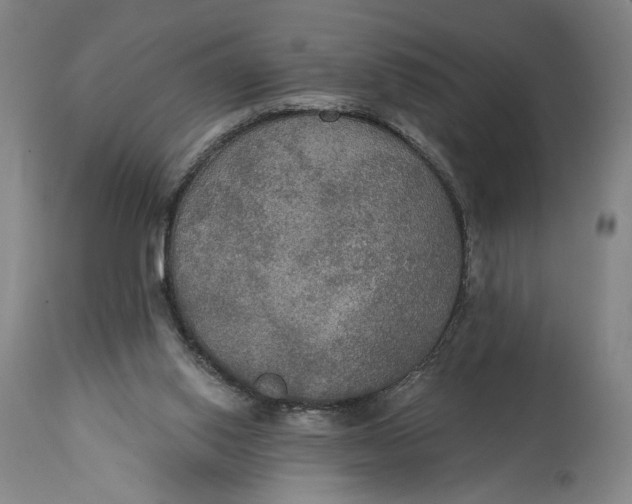 X0000114610062200911101201