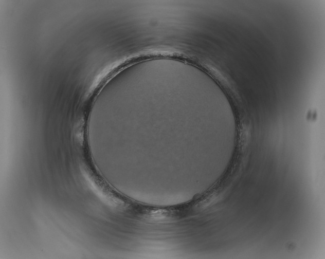 X0000114610064200911101201