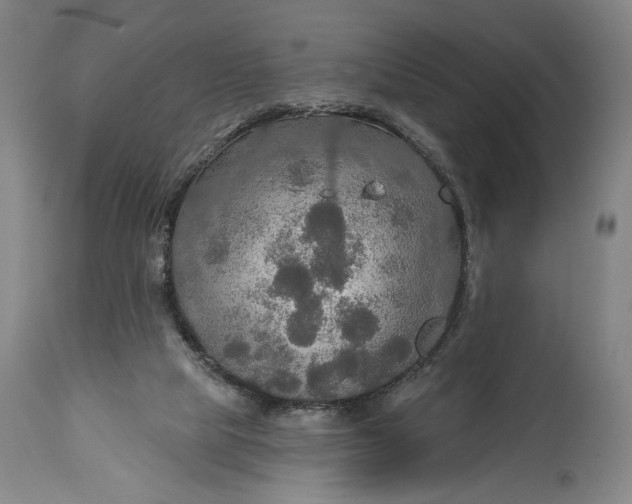 X0000114610065200911101201