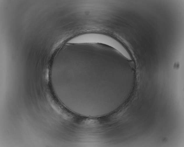 X0000114610067200911101201