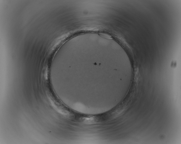 X0000114610068200911101201