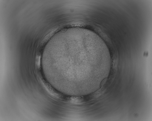 X0000114610070200911101201