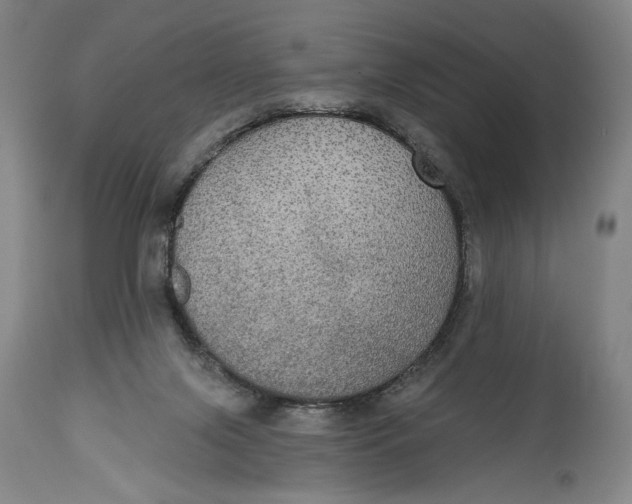 X0000114610071200911101201