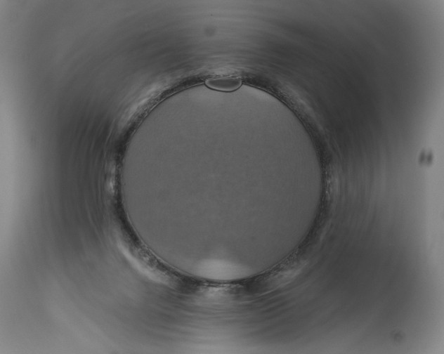 X0000114610072200911101201