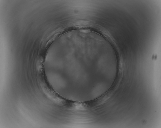 X0000114610073200911101201