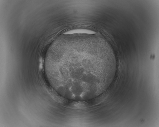 X0000114610075200911101201