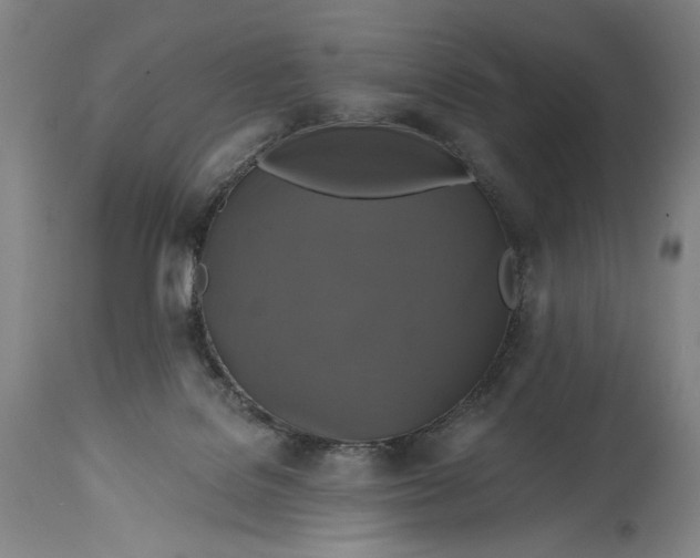 X0000114610076200911101201