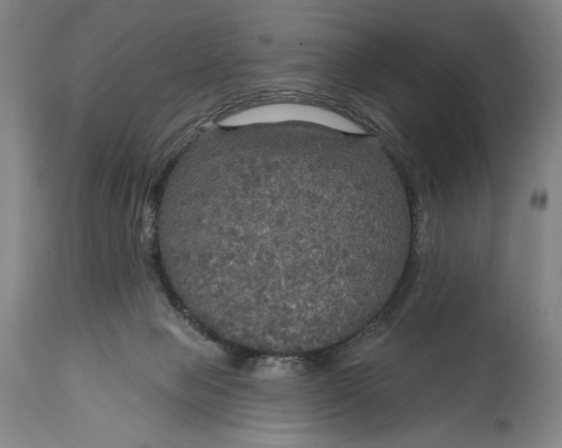 X0000114610077200911101201