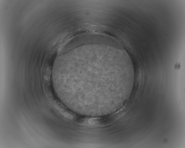 X0000114610078200911101201