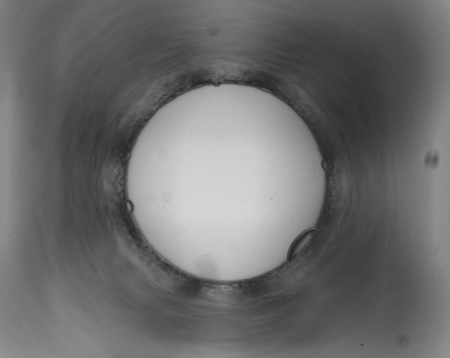 X0000114610079200911101201