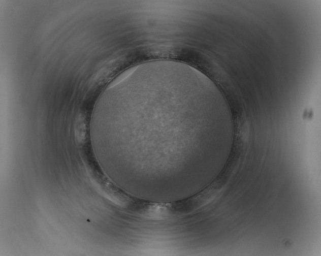 X0000114610080200911101201