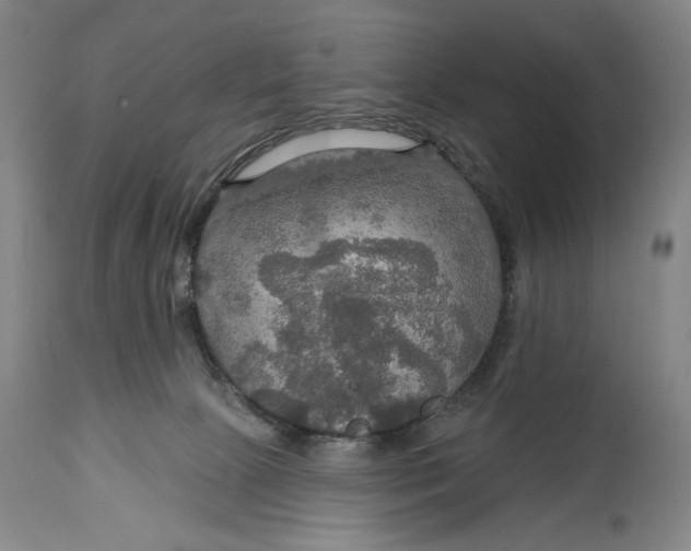 X0000114610081200911101201