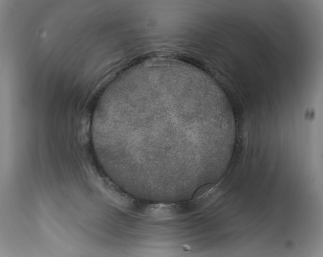 X0000114610082200911101201