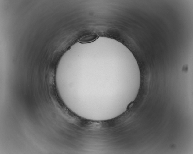 X0000114610083200911101201