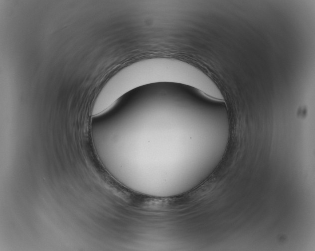 X0000114610084200911101201