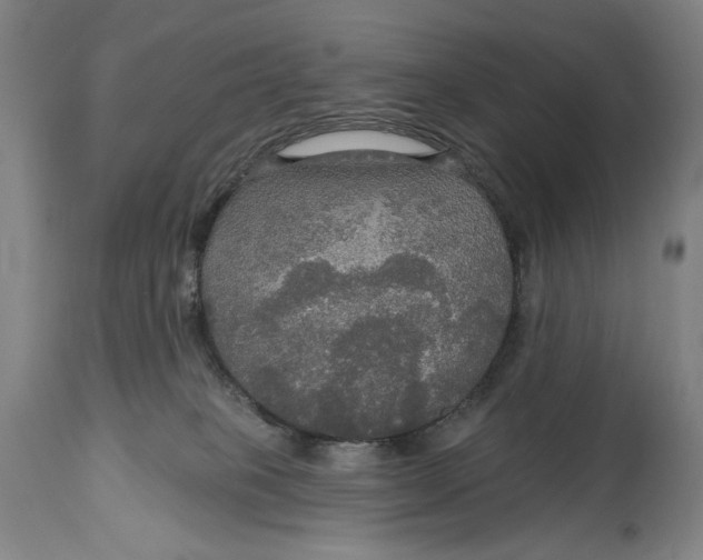 X0000114610085200911101201