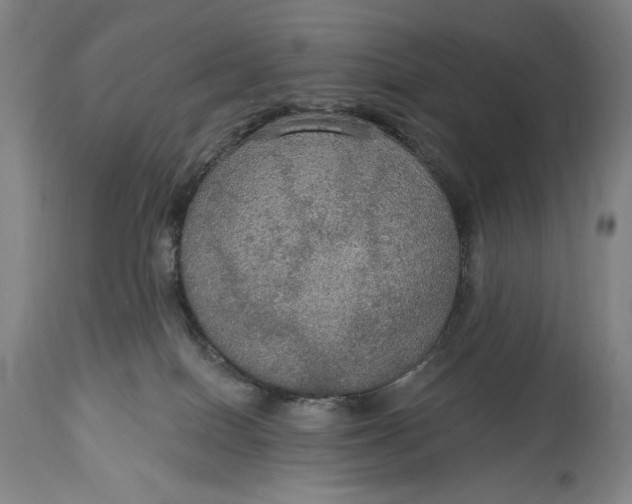 X0000114610086200911101202