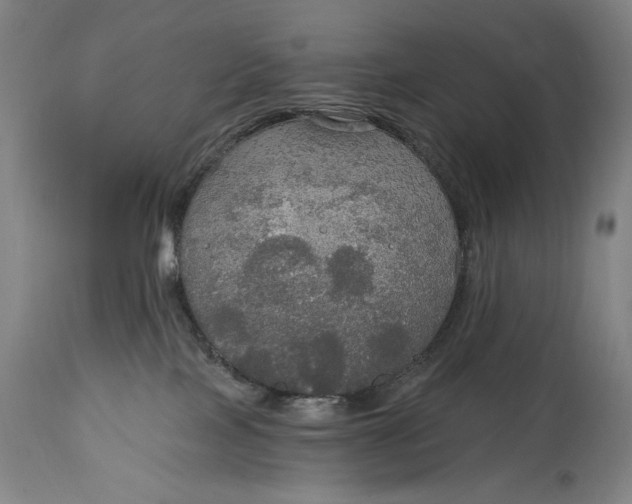 X0000114610089200911101202