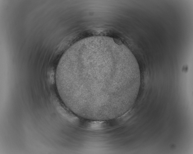 X0000114610090200911101202