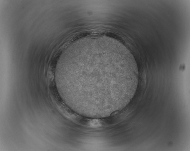 X0000114610091200911101202