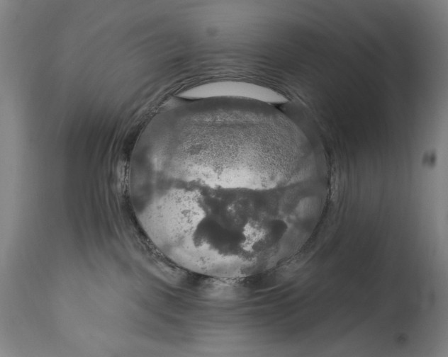 X0000114610093200911101202