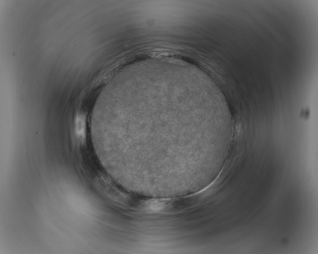 X0000114610094200911101202