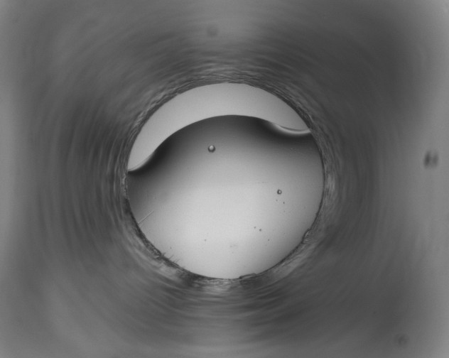 X0000114610096200911101202