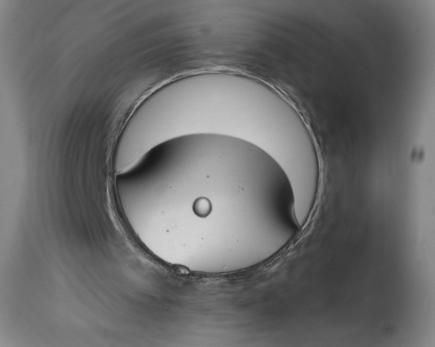 X0000114610097200911101201