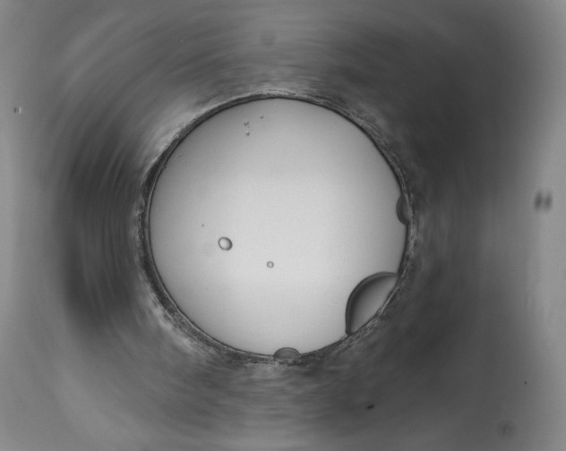 X0000114610098200911101201