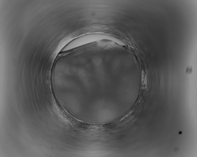 X0000114610099200911101201