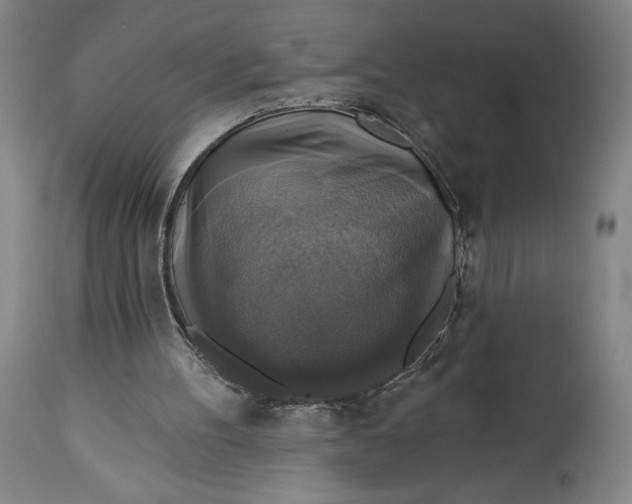 X0000114610100200911101201