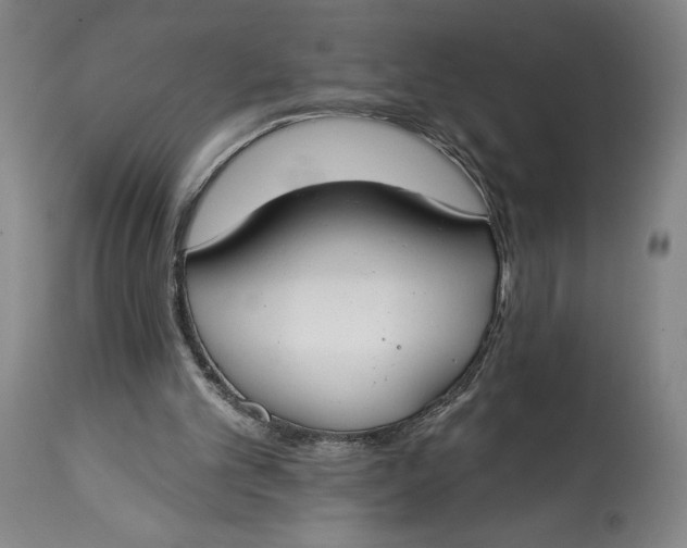 X0000114610101200911101201