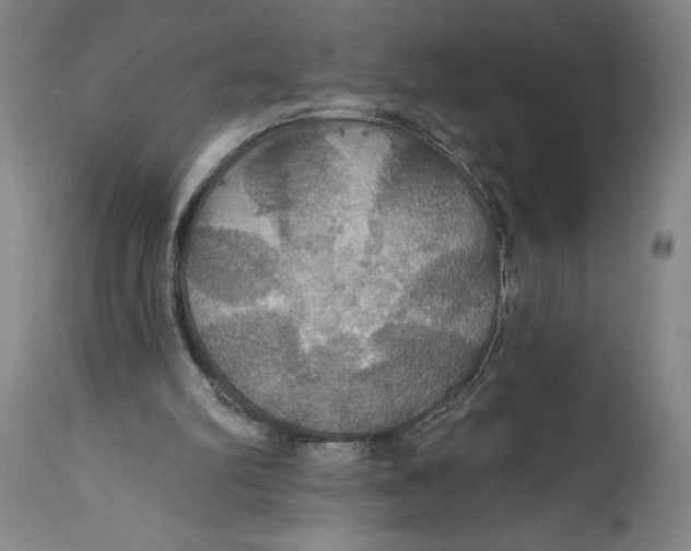 X0000114610102200911101201