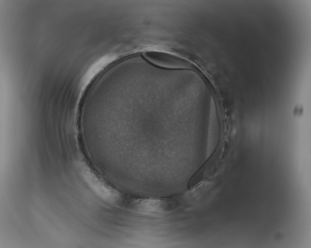 X0000114610104200911101201