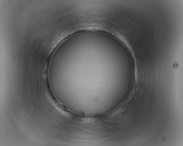 X0000114610105200911101201