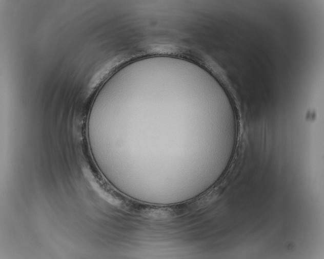 X0000114610106200911101201