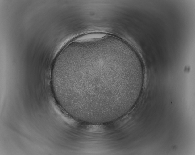 X0000114610107200911101201